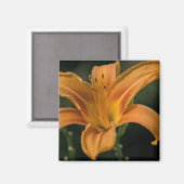 Een Garden Delight Magnet Magneet (Voorkant / Achterkant)