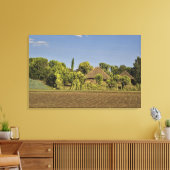 Een gecultiveerd veld voor rieten daken huizen canvas afdruk (Insitu (Woonkamer))