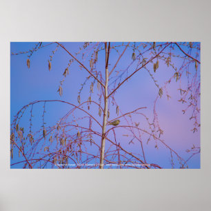 Een geheim bij zonsondergang poster