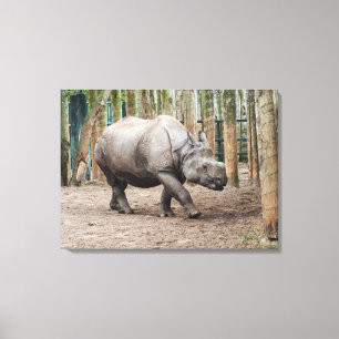 Eén gehoornde neushoorndier canvas afdruk