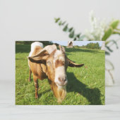 Een geit - uitnodiging (Staand voorkant)