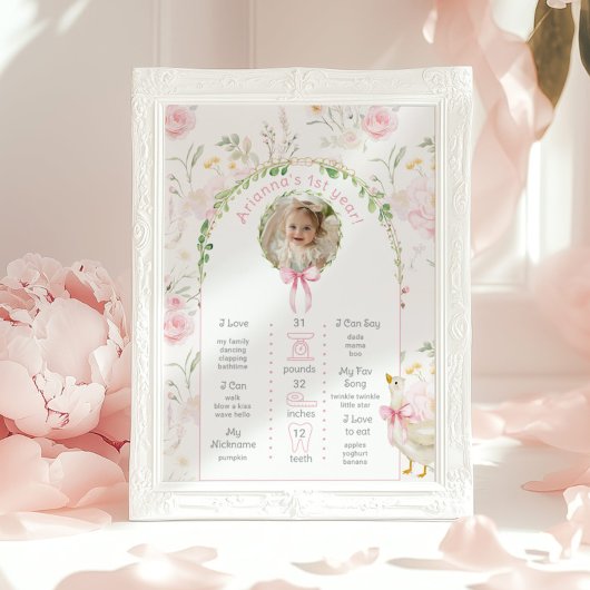 Een Gekke Gans 1e Verjaardagsfeest foto Milestone Poster