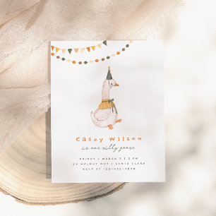 Een Gekke Goose Budget Eerste Verjaardagsfeest