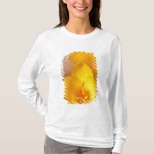 Een gele krokus bloeit in Portsmouth, New T-shirt