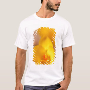 Een gele krokus bloeit in Portsmouth, New T-shirt