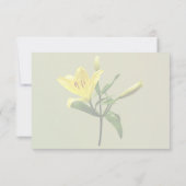 Een Gele Lelie RSVP Kaartje (Achterkant)