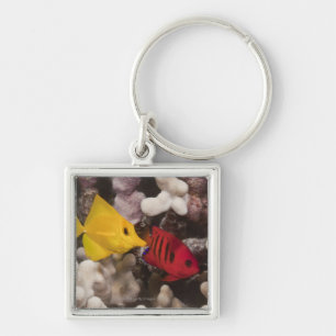 Een gele Tang Sleutelhanger