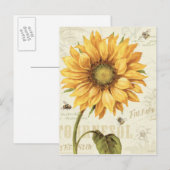 Een Gele Zonnebloem Briefkaart (Voorkant / Achterkant)