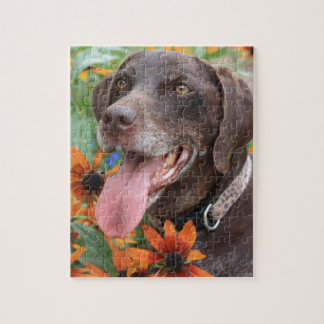 Een gelukkige Duitse Shorthaired Pointer met zonne Legpuzzel
