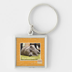 Een gelukkige kat, uit gelukkig sleutelhanger