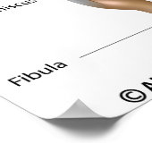 Een gengewrichtsanatomie met het opschrift diagram poster (Hoek)