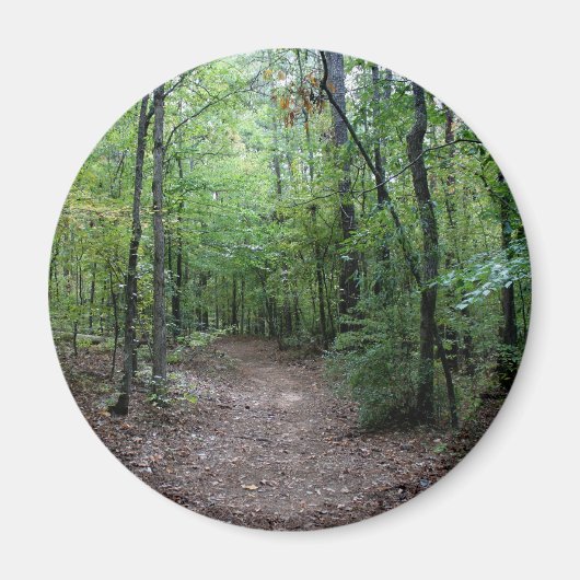 Een Georgisch Pad Magneet (Voorkant)