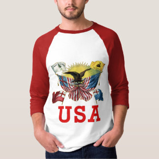 Een geschiedenis van Amerikaanse vlaggen op een T- T-shirt