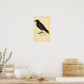 Een geschiedenis van de Britse vogels 1863 CROW Poster (Keuken)