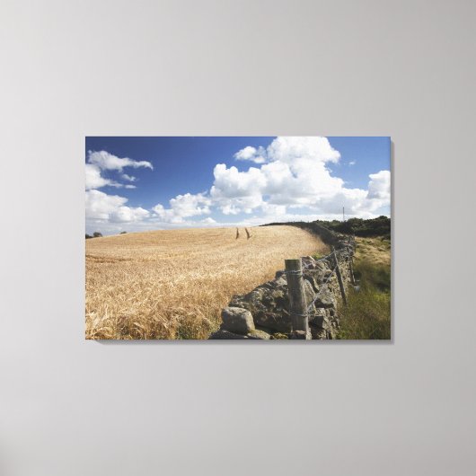 Een gestreepte draadhek gebouwd langs een stenen h canvas afdruk (Voorkant)