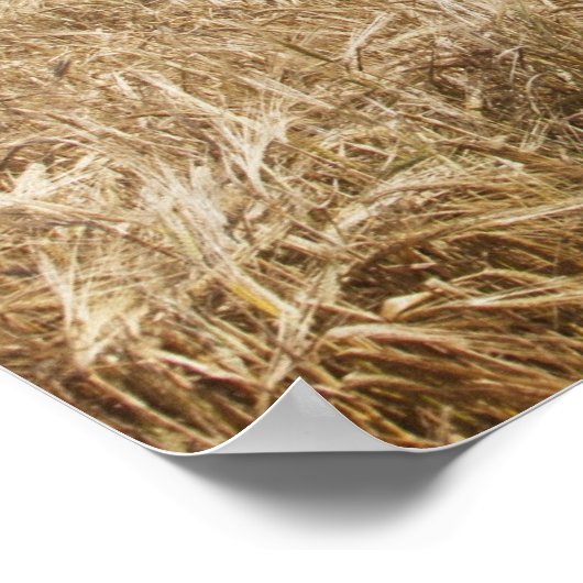 Een gestreepte draadhek gebouwd langs een stenen h poster (Hoek)