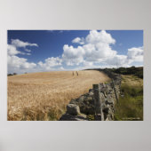 Een gestreepte draadhek gebouwd langs een stenen h poster (Voorkant)