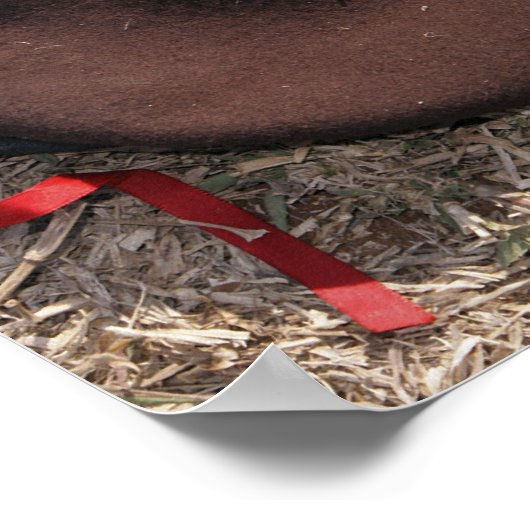 Een geweer, een militaire afdekking en een kantine poster (Hoek)