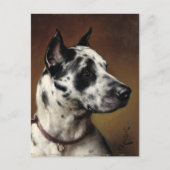 Een geweldige Deen | Carl Reichert Briefkaart (Voorkant)