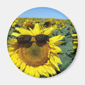 Een gezicht in de kroeg magneet