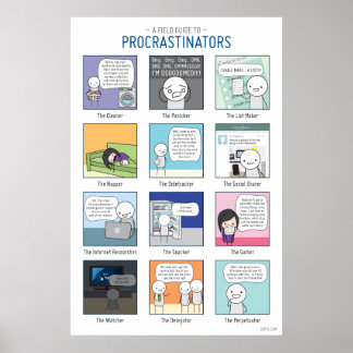 Een Gids van het Gebied aan het Poster van Procras