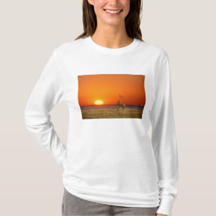 Een giraffenpaar loopt naar de zonsondergang, in t-shirt