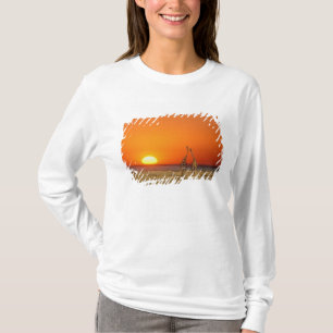 Een giraffenpaar loopt naar de zonsondergang, in t-shirt