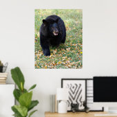 Een glimlachend zwart Beer Poster (Thuiskantoor)
