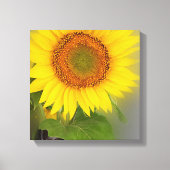een gloeiende zonnebloem canvas afdruk (Voorkant)