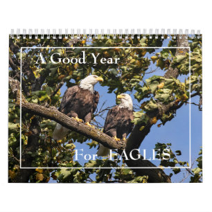Een goed jaar voor Eagles Agenda Kalender