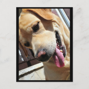 Een goede grap, man! briefkaart