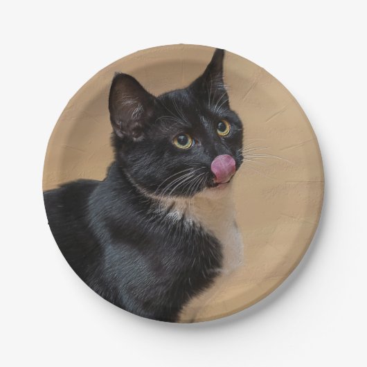 Een goede Lick Painterly Papieren Bordje (Voorkant)