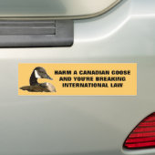 EEN GOOSE SCHADEERT DE WET BUMPERSTICKER (Op auto)
