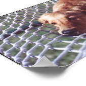 Een gouden dag poster (Hoek)