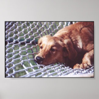 Een gouden dag poster