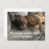 Een grappig briefkaart van Bull Mastiff (Voorkant / Achterkant)