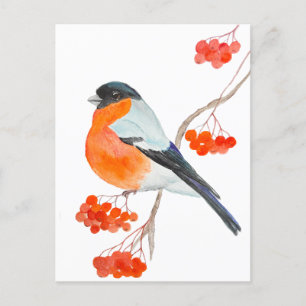 Een grappige bullfinch op een tak van een rowan tr briefkaart