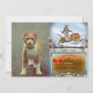 Een grappige kat met een bril kaart