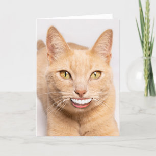 Een grappige kat sturen met menselijke tanden feestdagen kaart