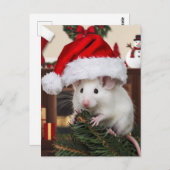 Een grappige kerstmuis briefkaart (Voorkant / Achterkant)