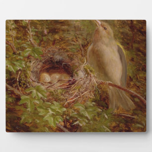 Een Greenfinch op zijn Nest, 1877 (olie op het pan Fotoplaat