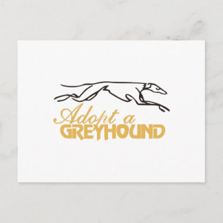 Een Greyhound aannemen Briefkaart