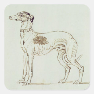 Een Greyhound, links naast elkaar (pen en inkt op Vierkante Sticker