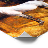 Een grijs Pony en een zwart paard in een Stabiel Poster (Hoek)