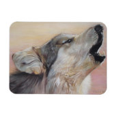 een grijze wolf in het wild die tegen zonsondergan magneet (Horizontaal)