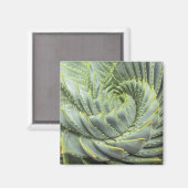 Een groen en wit succes magneet (Voorkant / Achterkant)