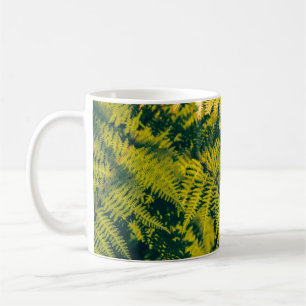Een groene fern planten achtergrond met schaduwen. koffiemok