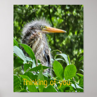 Een groene reiger. Denken aan jou Poster