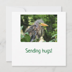 Een groene reiger feestdagenkaart