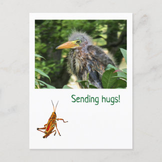 Een groene reiger feestdagenkaart